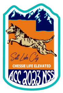 ACC NSS Logo